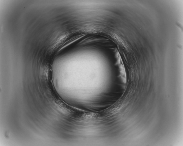 X0000096460072200802071843