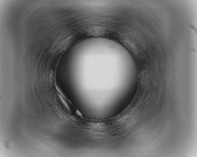 X0000096460073200802071843