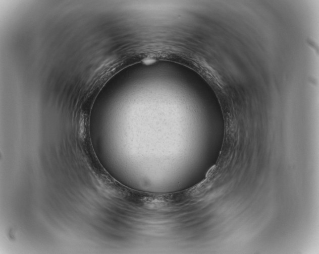 X0000096460074200802071843
