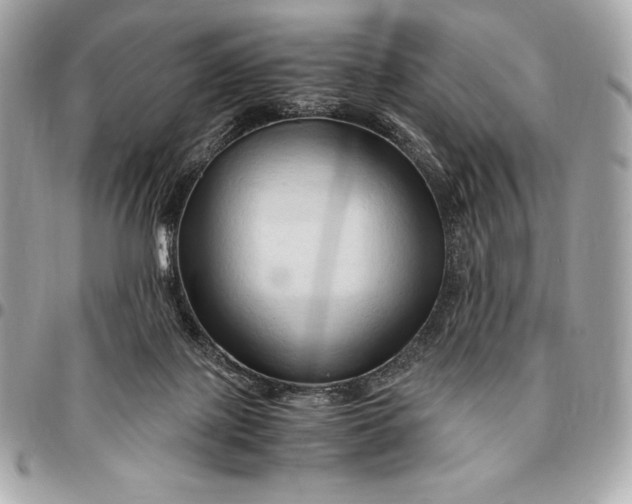 X0000096460075200802071843