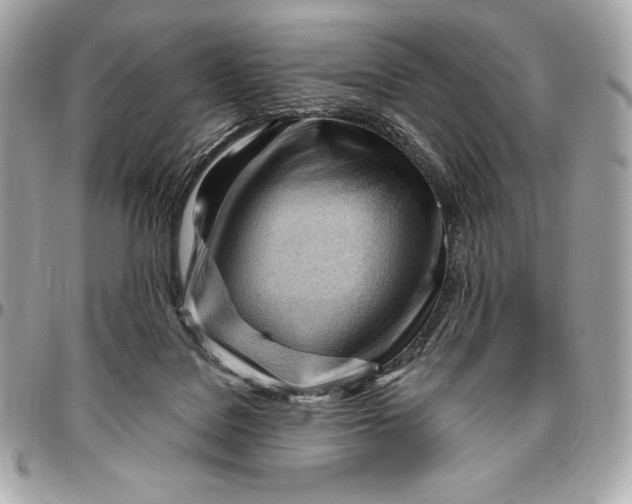 X0000096460076200802071843