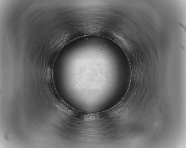 X0000096460077200802071843