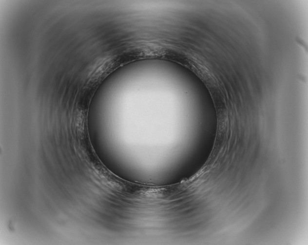 X0000096460078200802071843