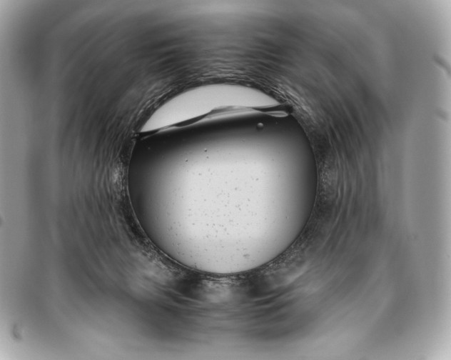 X0000096460079200802071843