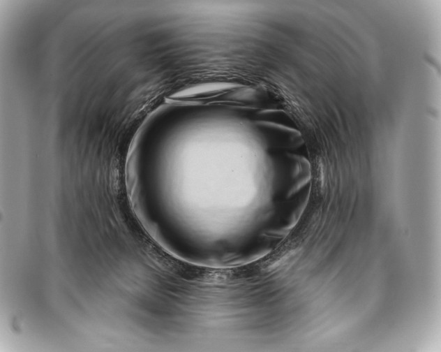 X0000096460080200802071843