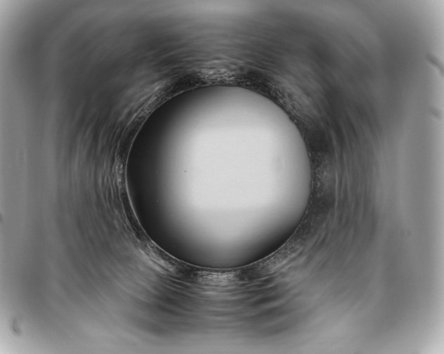 X0000096460081200802071843