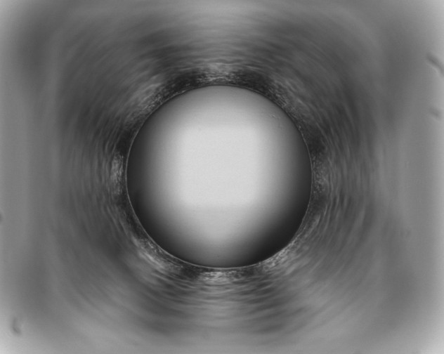 X0000096460082200802071843