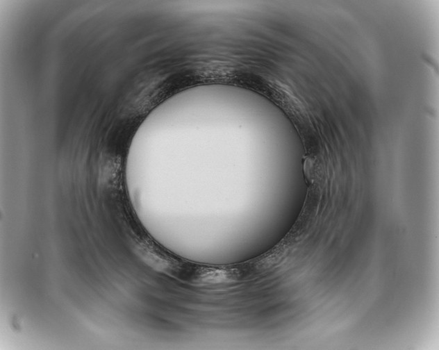 X0000096460083200802071843