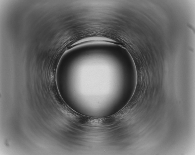 X0000096460084200802071843