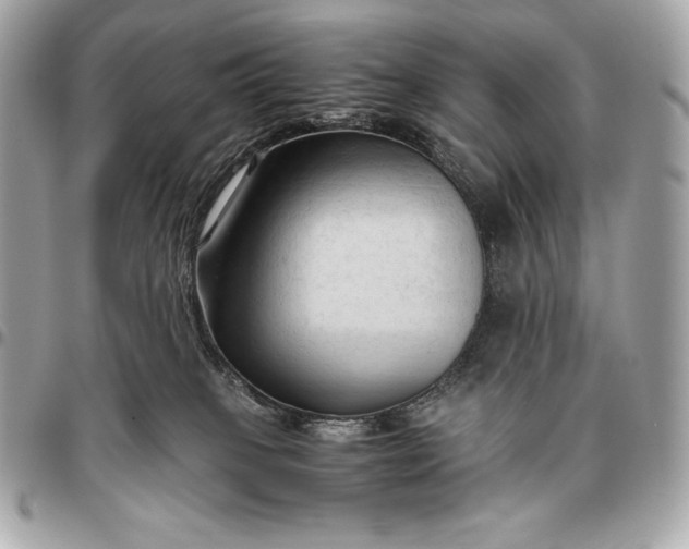 X0000096460085200802071843