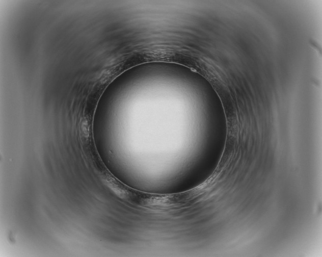X0000096460086200802071843