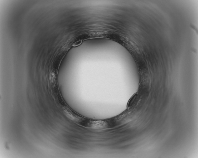 X0000096460087200802071843