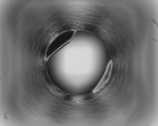 X0000096460088200802071843