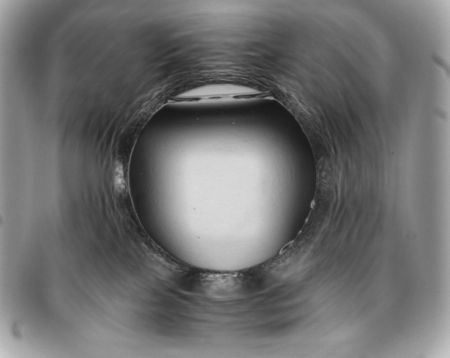 X0000096460089200802071843