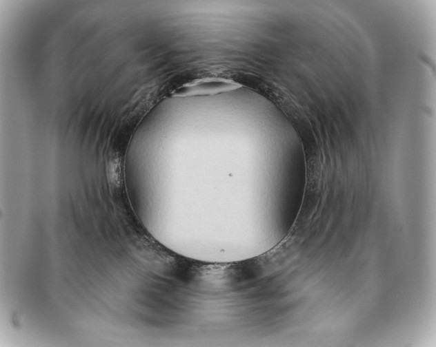 X0000096460090200802071843