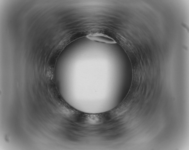 X0000096460091200802071843