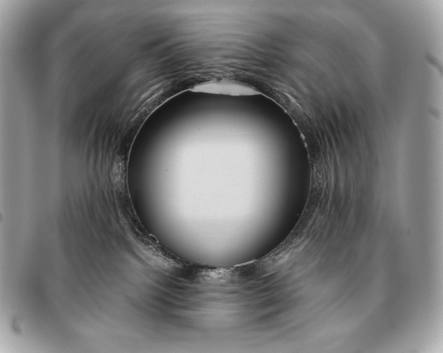 X0000096460092200802071843