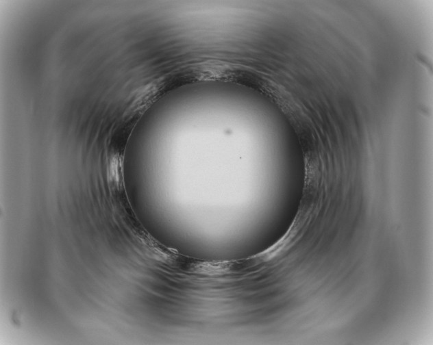X0000096460094200802071843