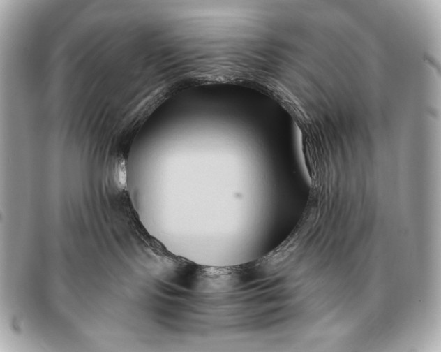 X0000096460095200802071843