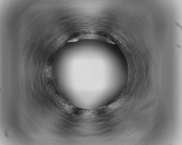 X0000096460096200802071843