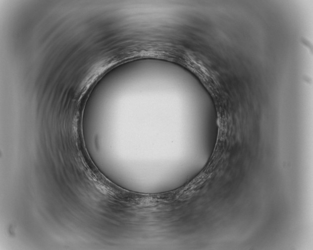 X0000096460098200802071843