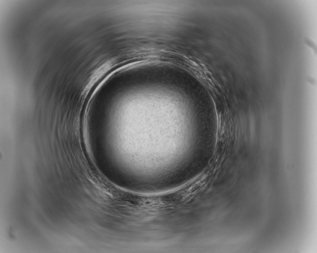 X0000096460099200802071843