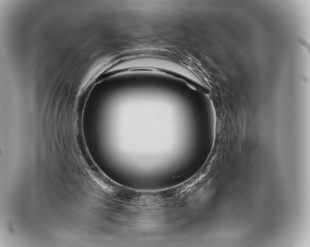 X0000096460101200802071843