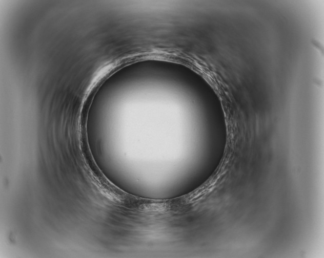 X0000096460102200802071843