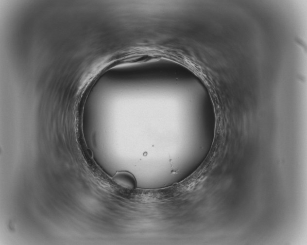 X0000096460103200802071843