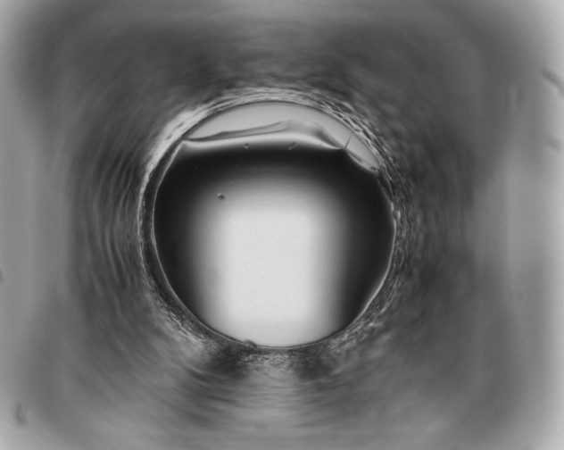 X0000096460104200802071843