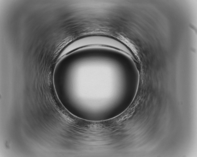 X0000096460105200802071843