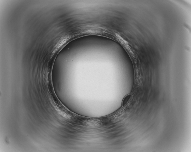 X0000096460106200802071843