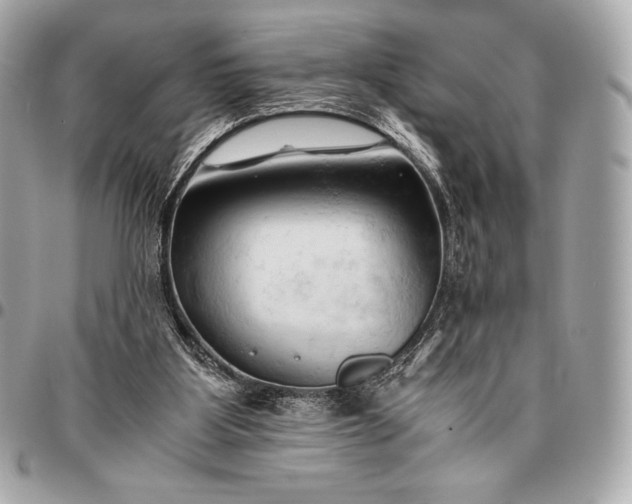 X0000096460107200802071843