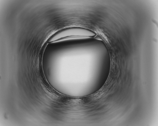 X0000096460108200802071843