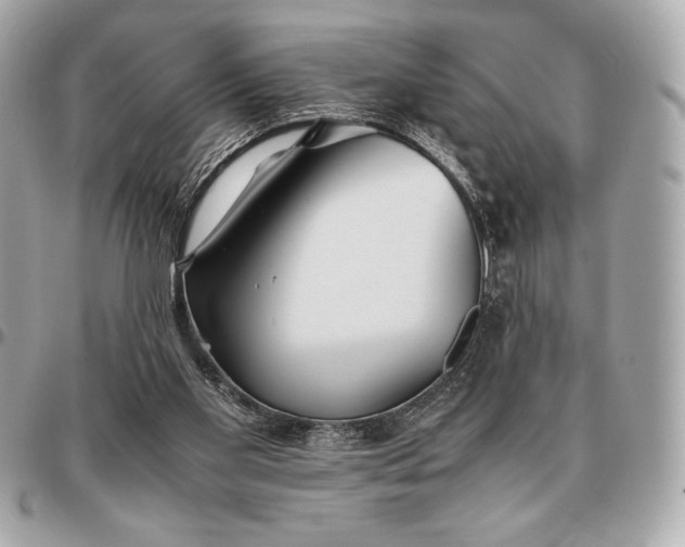 X0000096460109200802071843
