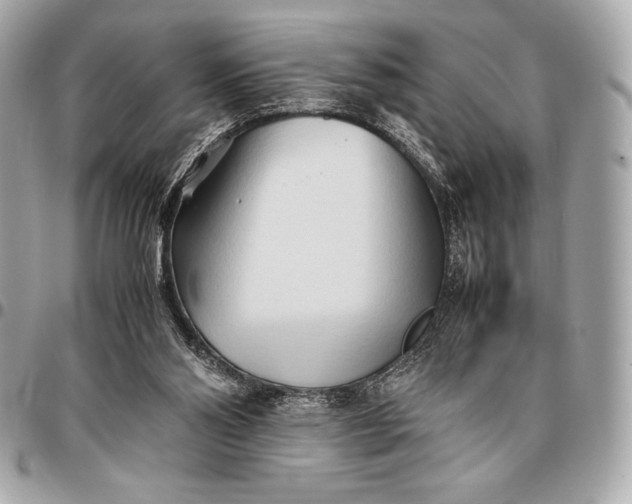 X0000096460110200802071843