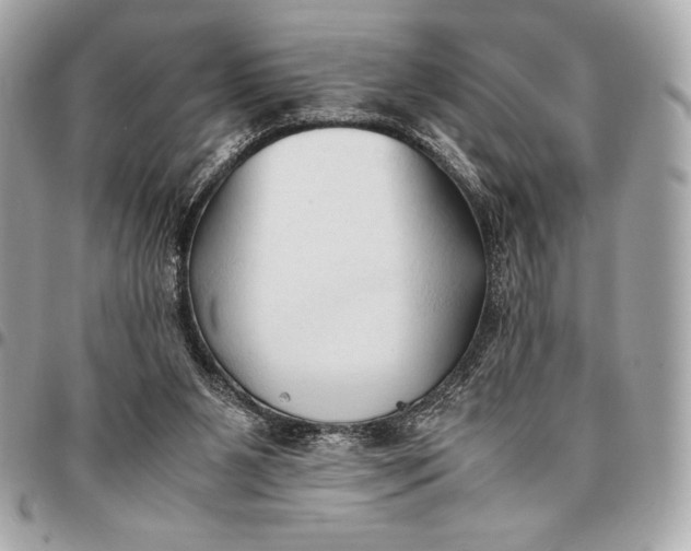 X0000096460111200802071843