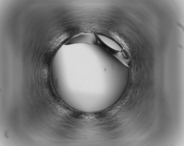 X0000096460113200802071843