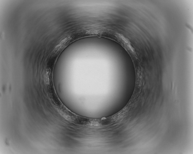 X0000096460114200802071843