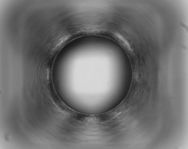 X0000096460115200802071843