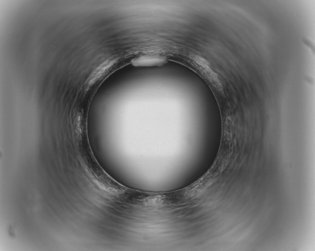X0000096460116200802071843