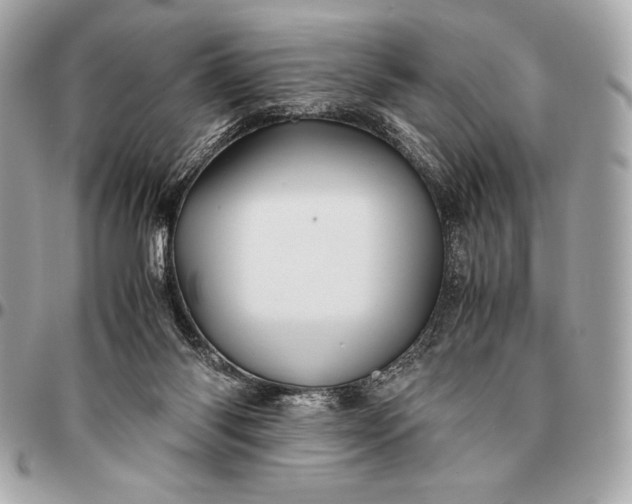 X0000096460118200802071843