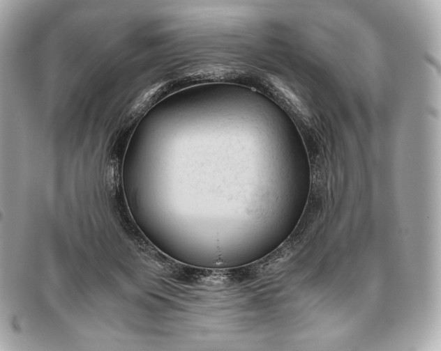 X0000096460119200802071843