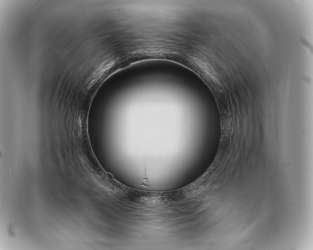 X0000096460120200802071842