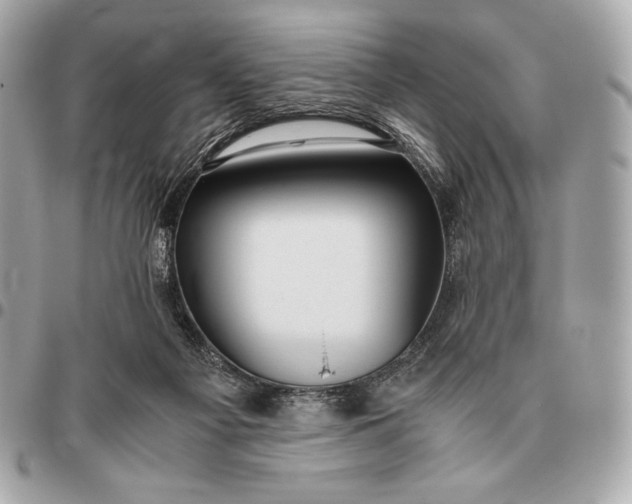 X0000096460121200802071842