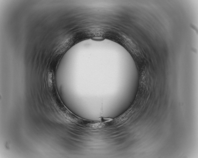 X0000096460122200802071842