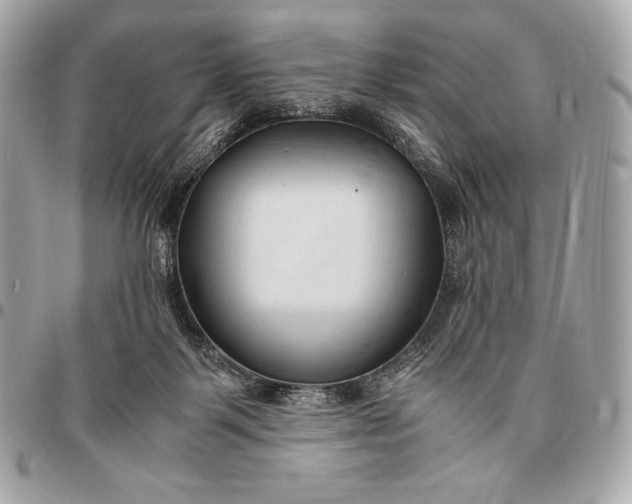 X0000096460123200802071842