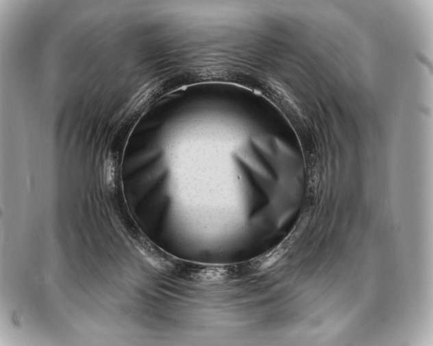 X0000096460124200802071842