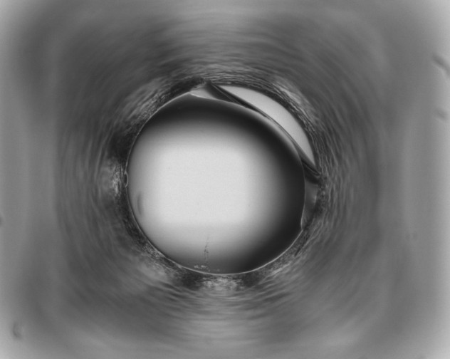 X0000096460125200802071842