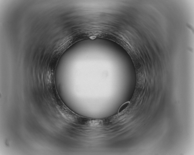 X0000096460126200802071842